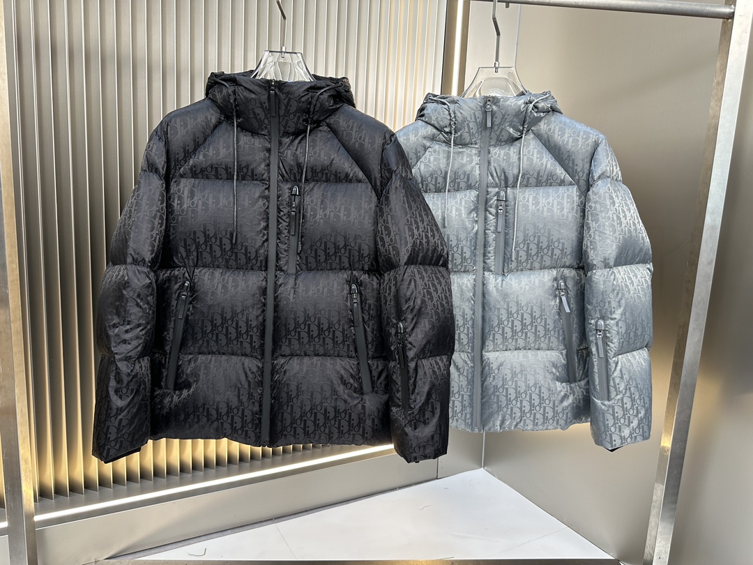 Christian Dior Down Jackets